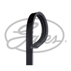 3PK796SF ძრავის ღვედი GATES GATES 3PK796SF